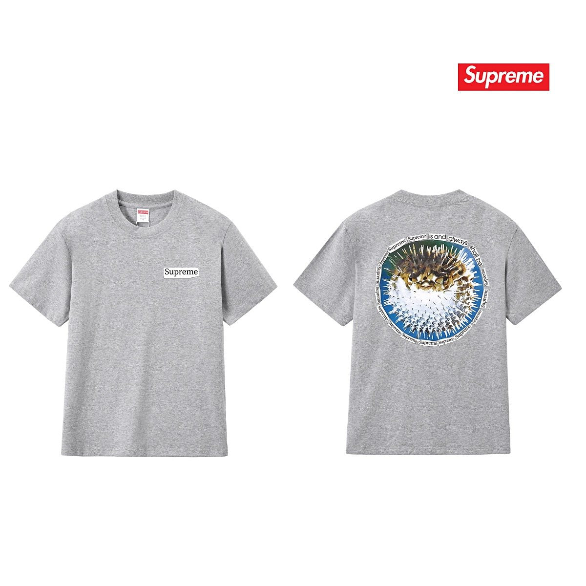 Supreme Pufferfish Back Graphic T-Shirt